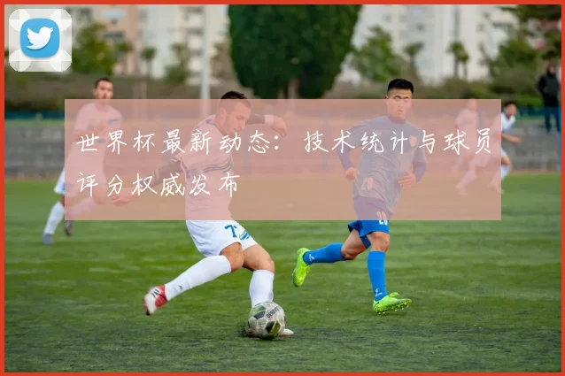 世界杯最新动态：技术统计与球员评分权威发布