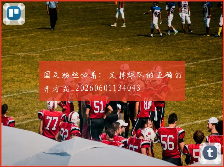 国足粉丝必看：支持球队的正确打开方式_20260601134043
