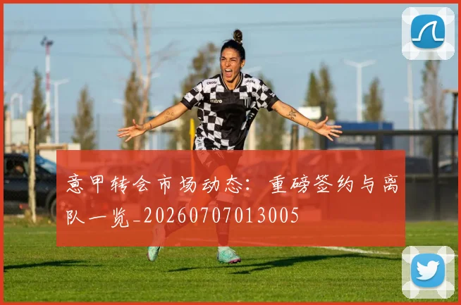 意甲转会市场动态：重磅签约与离队一览_20260707013005