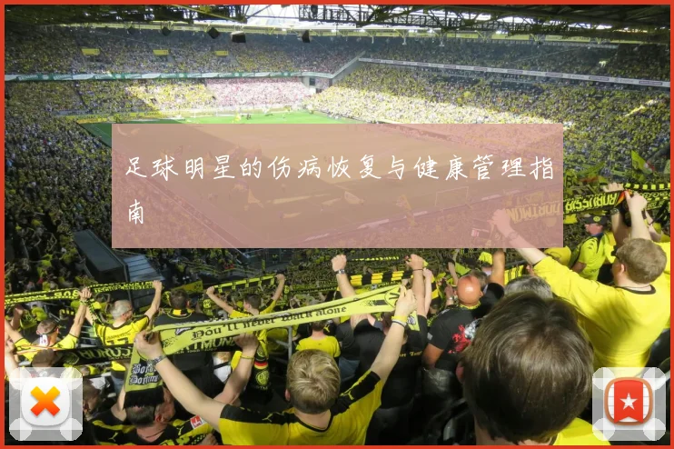 足球明星的伤病恢复与健康管理指南
