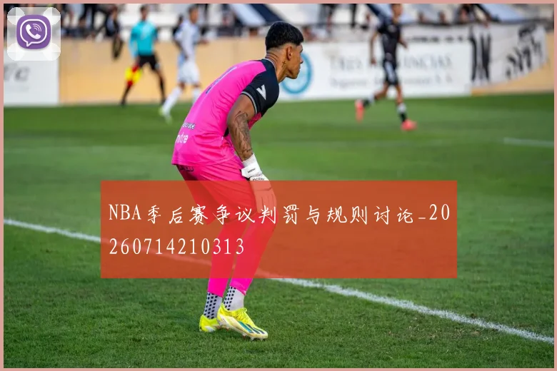 NBA季后赛争议判罚与规则讨论_20260714210313